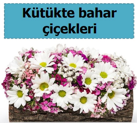 K�t�k i�erisinde k�r �i�ekleri  Eryaman �nternetten �i�ek sipari�i 