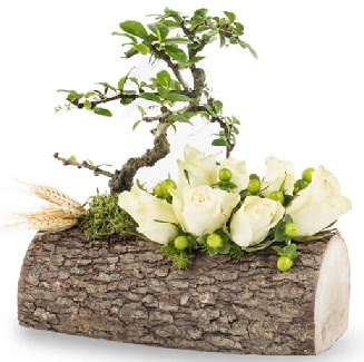 Doal ktkte bonsai aac ve 7 beyaz gl  Ankara Eryaman yurtii ve yurtd iek siparii 