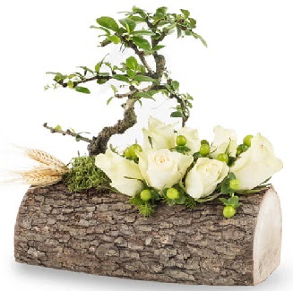 Do�al k�t�kte bonsai a�ac� ve 7 beyaz g�l  Ankara Eryaman yurti�i ve yurtd��� �i�ek sipari�i 