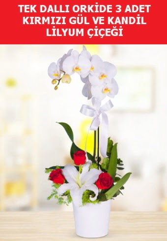Tek dall orkide 3 gl ve kandil lilyum  Eryaman online ieki , iek siparii 