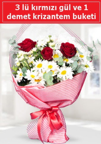 3 adet k�rm�z� g�l ve krizantem buketi  Ankara Eryaman yurti�i ve yurtd��� �i�ek sipari�i 