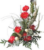  Eryaman ankaraya �i�ek internetten �i�ek sat���  Kirmizi gerbera �zel tanzim