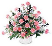  ankara �i�ek�i Eryaman �i�ek�i ma�azas�  Karanfillerden �zel aranjman sepet i�inde