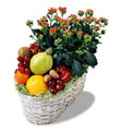  Eryaman �i�ek yolla , �i�ek g�nder , �i�ek�i   meyva sepeti ve kalanche