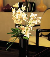  Eryaman iek siparii hediye iek yolla  cam yada mika vazo ierisinde dal orkide