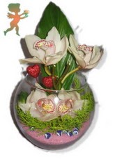 fanus i�erisinde 4 orkide  Eryaman �i�ek�i  �i�ek , �i�ek�i , �i�ek�ilik 