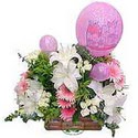 balon ve �i�eklerle tanzim  Eryaman �i�ek�i  �i�ek , �i�ek�i , �i�ek�ilik 
