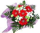 karisik gerbera ve kir �i�egi   Eryaman �i�ek g�venli kaliteli h�zl� �i�ek 