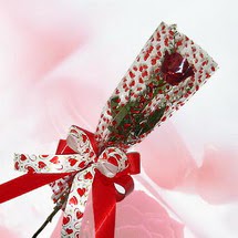 tek bir adet g�l seffafta   Ankara Eryaman �i�ek sat��� �i�ek sipari�i 