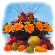 sepette gerbera ve meyvalar   Ankara Eryaman �i�ek sat��� �i�ek sipari�i 