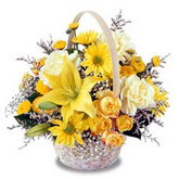 sadece sari �i�ek sepeti   Ankara Eryaman yurti�i ve yurtd��� �i�ek sipari�i 