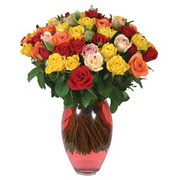 51 adet g�l ve kaliteli vazo   Ankara Eryaman yurti�i ve yurtd��� �i�ek sipari�i 