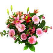 lilyum ve gerbera �i�ekleri - �i�ek se�imi -  Eryamandaki �i�ek�iler kaliteli taze ve ucuz �i�ekler 
