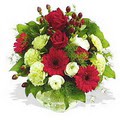 karanfil gerbera ve g�ller - d�s�nenelere �zel -  Eryamandaki �i�ek�iler kaliteli taze ve ucuz �i�ekler 