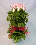 13 adet pembe g�l silindirde   Eryaman online �i�ek�i , �i�ek sipari�i 