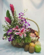 orkide kazablanka ve sepet  Eryaman online ieki , iek siparii 