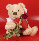 kalp oyuncak ve g�l ��geni   Eryaman online �i�ek�i , �i�ek sipari�i 