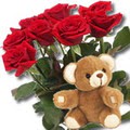 11 adet g�l ve ayicik buket   Eryaman online �i�ek�i , �i�ek sipari�i 