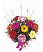 karisik gerbera �i�ekleri  Eryaman online �i�ek�i , �i�ek sipari�i 