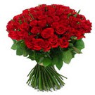 101 adet kirmizi g�l sade  Eryaman online �i�ek�i , �i�ek sipari�i 