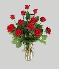  Eryaman �i�ek sat��� anneler g�n� �i�ek yolla  11 adet kirmizi g�l vazo halinde