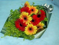 t�l i�erisinde gerbera �i�ekleri 11 adet  Eryaman �i�ek g�nder �i�ek servisi , �i�ek�i adresleri 