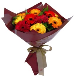  Eryaman �i�ek�i  �i�ek , �i�ek�i , �i�ek�ilik  13 ADET KARISIK GERBERA BUKETI