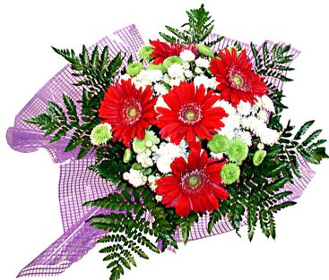 gerbera ve krizantem demeti  Ankara Eryaman �i�ek sat��� �i�ek sipari�i 