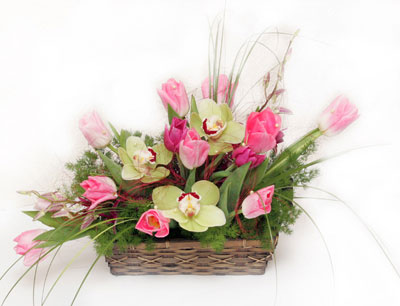 sepet i�erisinde 3 adet orkide ve lale  Eryaman �i�ek�i ankaraya �i�ek yolla �i�ek�iler 
