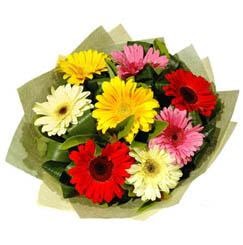 9 adet karisik gerbera demeti  Eryaman �i�ek�i ankaraya �i�ek yolla �i�ek�iler 