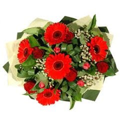  Ankara Eryaman �i�ek yolla   5 adet kirmizi g�l 5 adet gerbera demeti