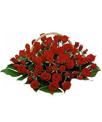  Eryaman �i�ek�i  �i�ek , �i�ek�i , �i�ek�ilik  33 G�l ile hazirlanmis sepet aranjman. (Renk alte