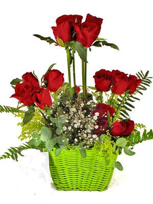  Eryaman �i�ek sat��� anneler g�n� �i�ek yolla  �i�ek siparisi 9 adet kirmizi g�l