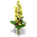  Eryaman online �i�ek�i , �i�ek sipari�i  1 dal orkide �i�egi - cam vazo i�erisinde -