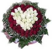  Eryaman �i�ek�i ankaraya �i�ek yolla �i�ek�iler  27 adet kirmizi ve beyaz g�l sepet i�inde