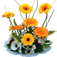 camda gerbera ve mis kokulu kir �i�ekleri  Eryaman �i�ek g�venli kaliteli h�zl� �i�ek 