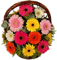 Sepet i�erisinde sicak sevgi �i�ekleri  Eryaman �i�ek g�nderme online �i�ek�i 
