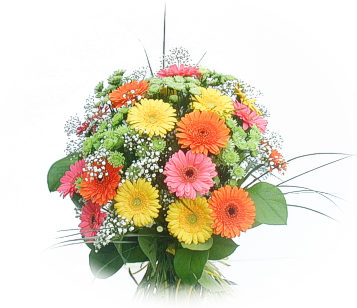 13 adet gerbera �i�egi buketi  Ankara Eryaman �i�ek ma�azas� , �i�ek�i adresleri 