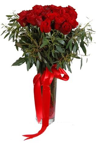 15 adet kirmizi g�l cam vazo i�erisinde  Eryaman �i�ek�i  �i�ek , �i�ek�i , �i�ek�ilik 