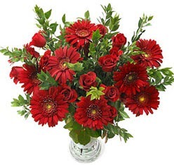 5 adet kirmizi g�l 5 adet gerbera aranjmani  Eryaman �i�ek g�nderme online �i�ek�i 