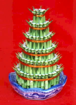 Lucky Bamboo sans melegi �i�egi  Eryaman �i�ek sipari�i hediye �i�ek yolla 