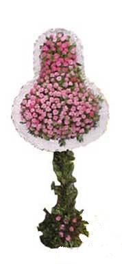 Ankara Eryaman �i�ek yolla  d�g�n a�ilis �i�ekleri  Eryaman Ankara ucuz �i�ek g�nder 