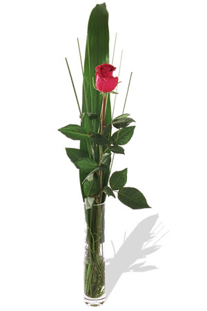 1 adet cam vazo i�erisinde kirmizi g�l  Eryaman �nternetten �i�ek sipari�i 