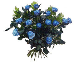  Eryaman �i�ek yolla , �i�ek g�nder , �i�ek�i   9 mavi g�l g�zel bir buket