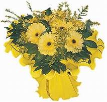  Ankara Eryaman �i�ek sat��� �i�ek sipari�i  9 adet sari g�zel gerbera