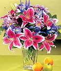  Eryaman �i�ek�i ankaraya �i�ek yolla �i�ek�iler  Sevgi bah�esi �zel  bir tercih