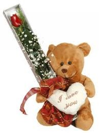 15 cm ayicik ve tek kutu g�l  Ankara Eryaman hediye sevgilime hediye �i�ek 