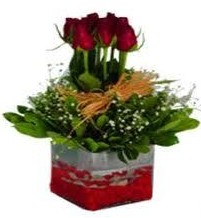  Eryamandaki �i�ek�iler kaliteli taze ve ucuz �i�ekler  7 adet mika yada cam vazoda g�l tanzimi