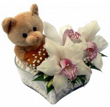 Eryaman online �i�ek�i , �i�ek sipari�i  15 cm boyutlarinda ayicik ve 1 kandil orkide