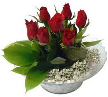  Eryaman �i�ek�i  �i�ek , �i�ek�i , �i�ek�ilik  cam yada mika i�erisinde 5 adet kirmizi g�l